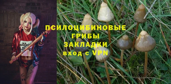 прущие грибы Богородицк