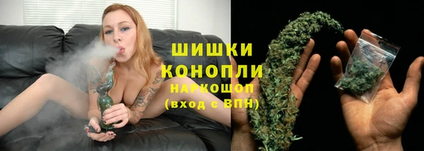 прущие грибы Богородицк