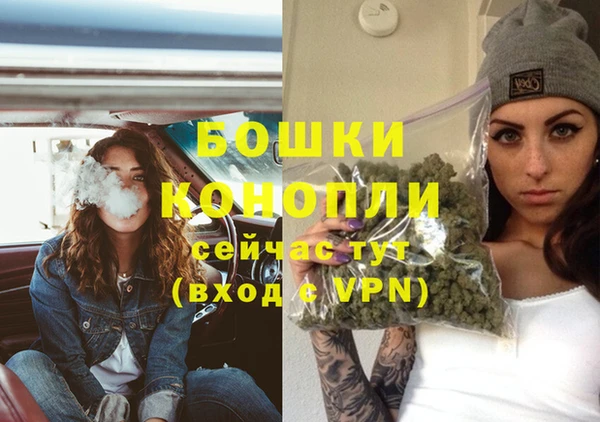 прущие грибы Богородицк