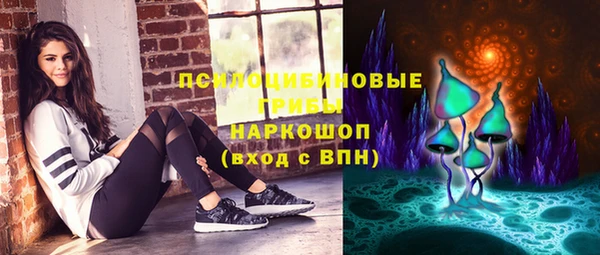 прущие грибы Богородицк