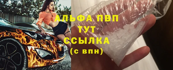 прущие грибы Богородицк