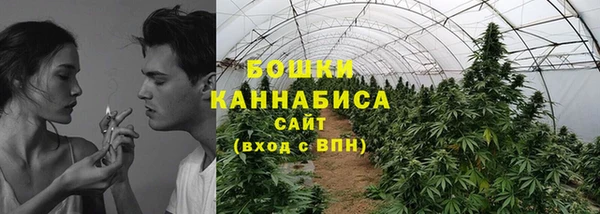 молекула духа Верхний Тагил