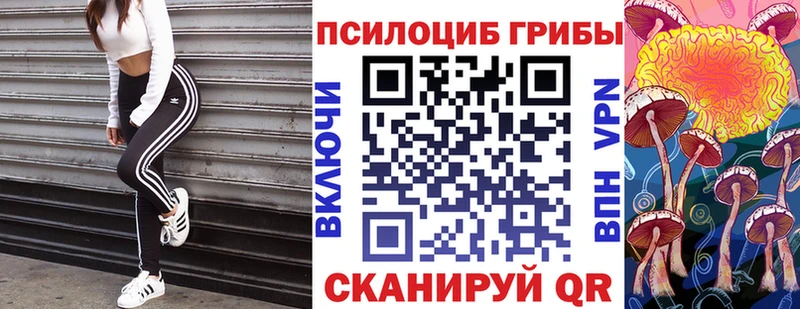 Псилоцибиновые грибы GOLDEN TEACHER  Ипатово 